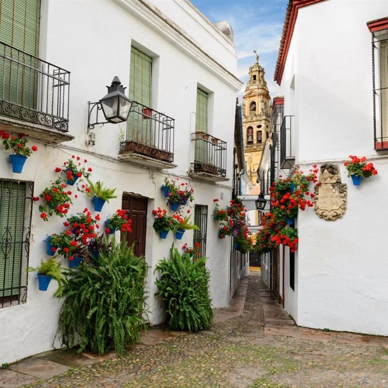Апартаменти El Patio De San Miguel Кордова Екстер'єр фото